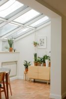 Sunny indoor room with potted plants and minimalist decor.